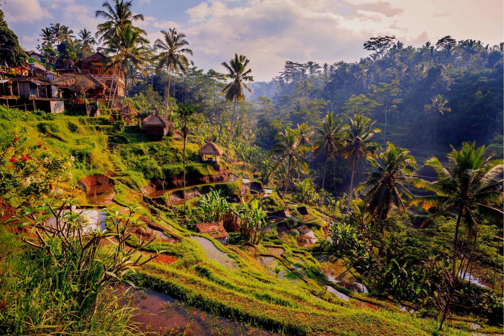 Ubud Tour